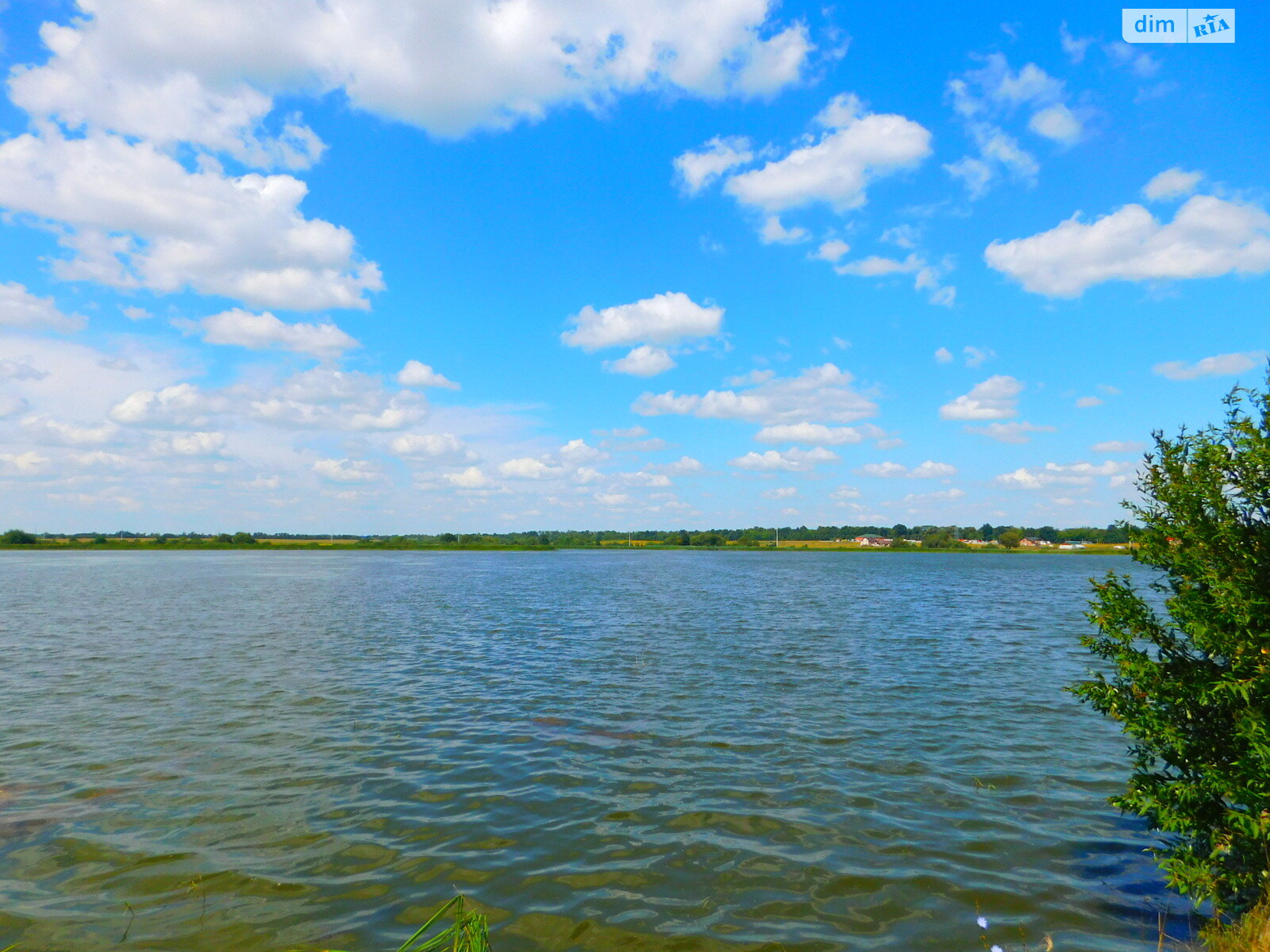 Земельна ділянка сільськогосподарського призначення в Слобода-Дашковецькій, площа 1.6 Га фото 1 Земельна ділянка сільськогосподарського призначення в Слобода-Дашковецькій, площа 1.6 Га фото 1