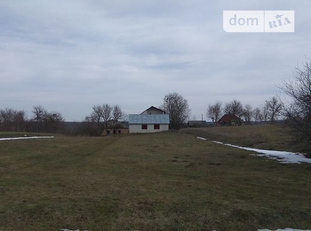 Продажа земли сельскохозяйственного назначения, Черкасская, Смела, c. Балаклея, Мира 171 Продажа земли сельскохозяйственного назначения, Черкасская, Смела, c. Балаклея, Мира 171