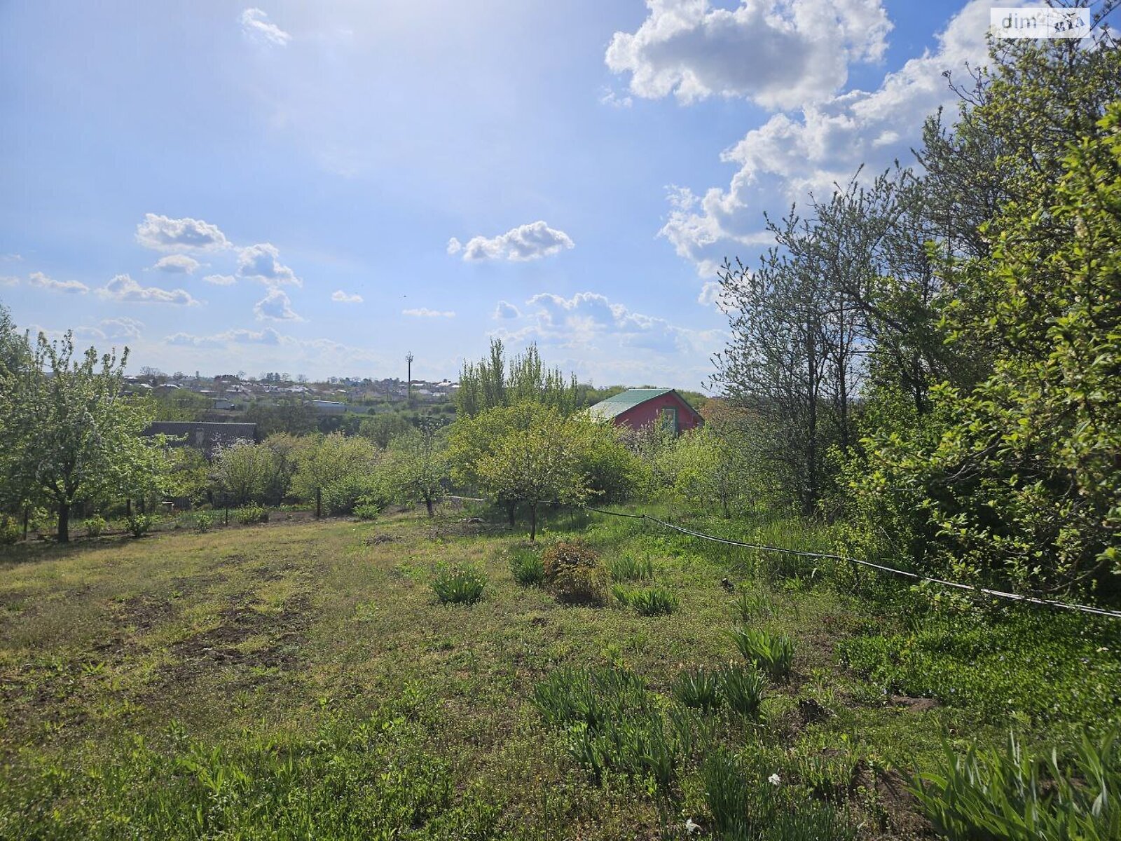 Земельна ділянка сільськогосподарського призначення в Смиківці, площа 6 соток фото 1