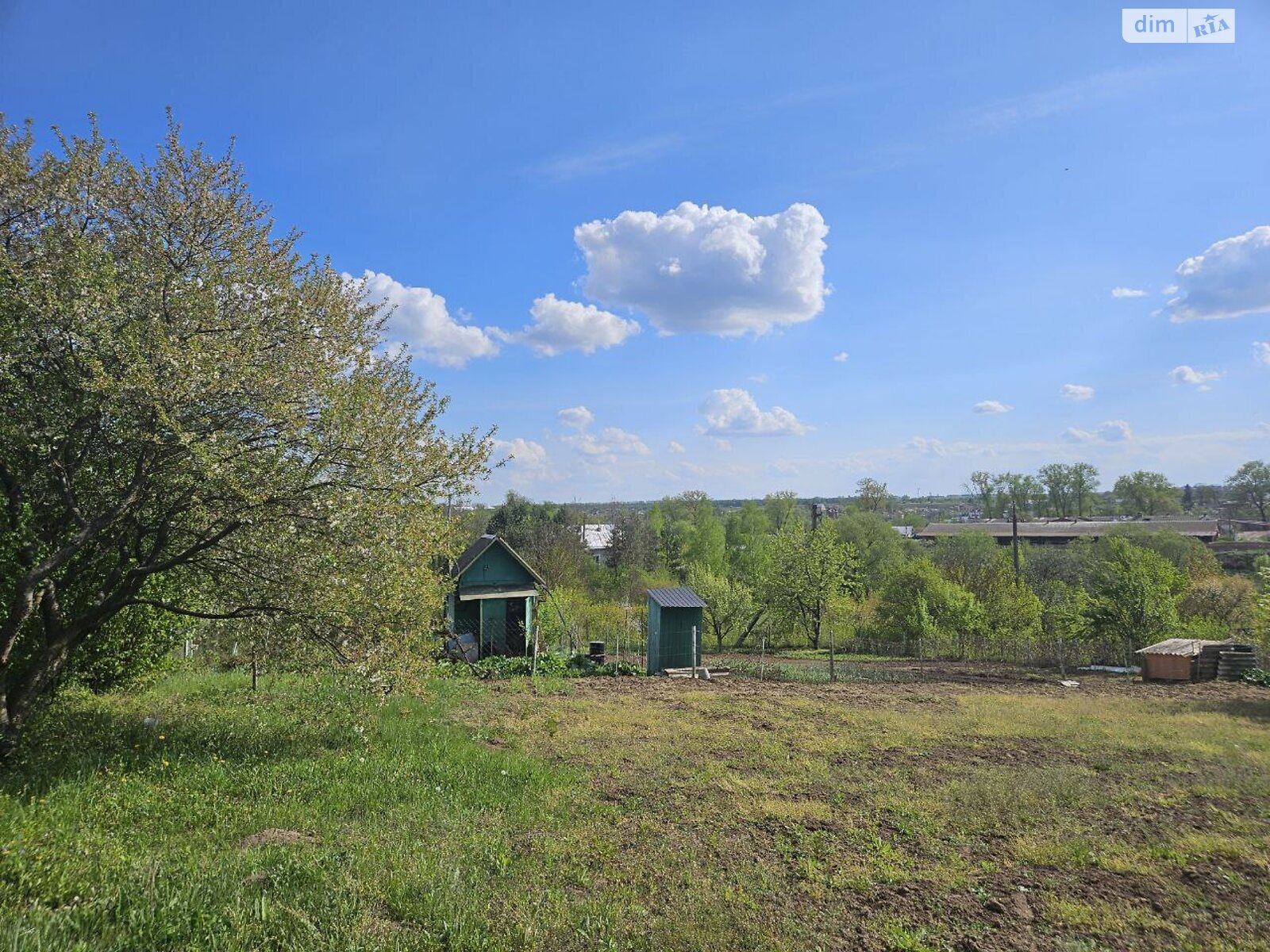 Земельна ділянка сільськогосподарського призначення в Смиківці, площа 6 соток фото 1