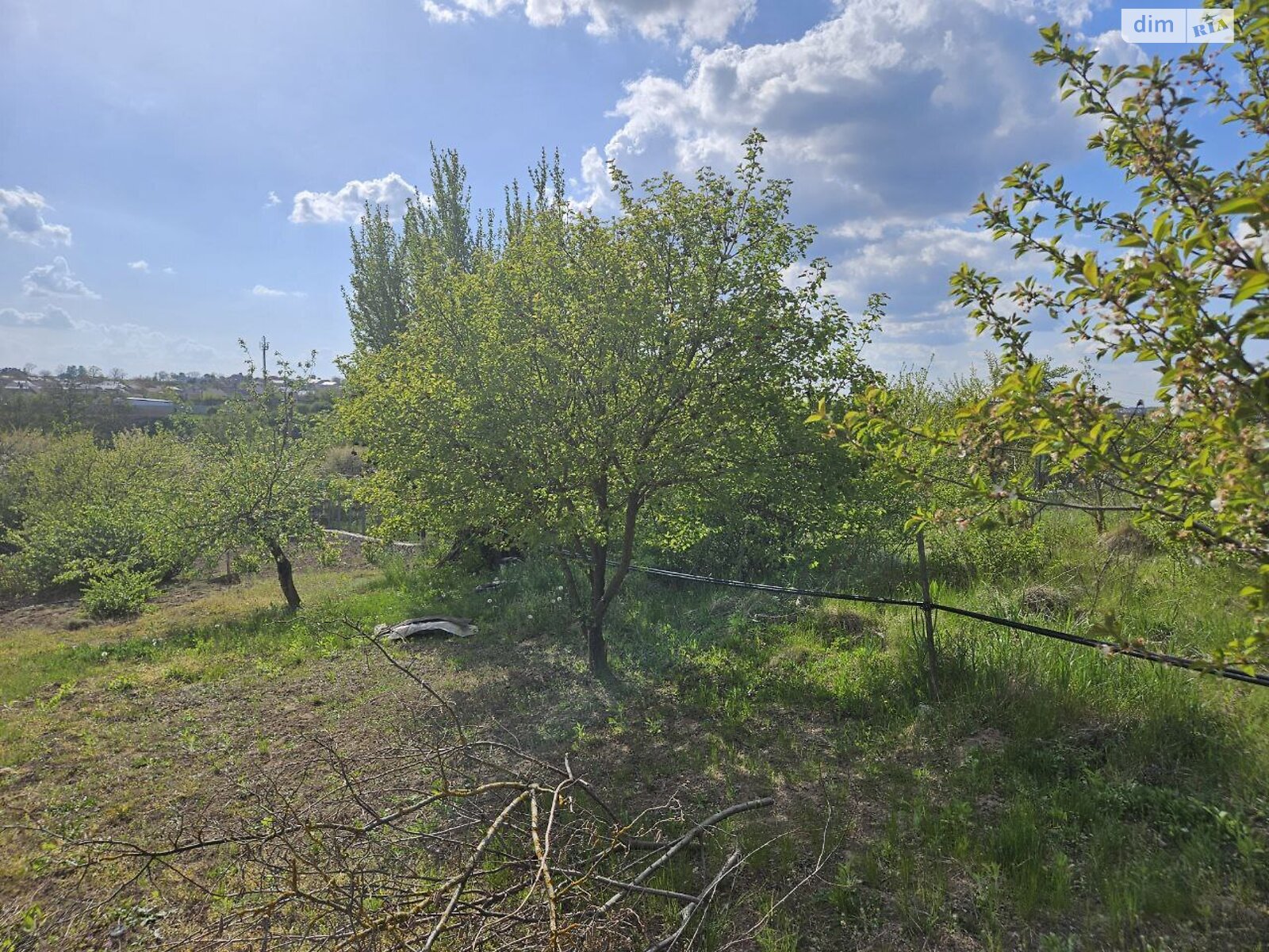 Земельна ділянка сільськогосподарського призначення в Смиківці, площа 6 соток фото 1