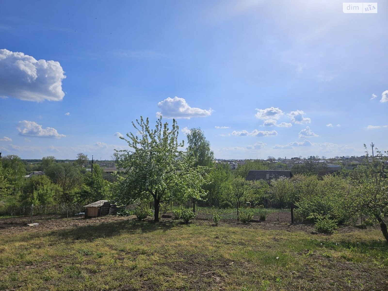 Земельна ділянка сільськогосподарського призначення в Смиківці, площа 6 соток фото 1