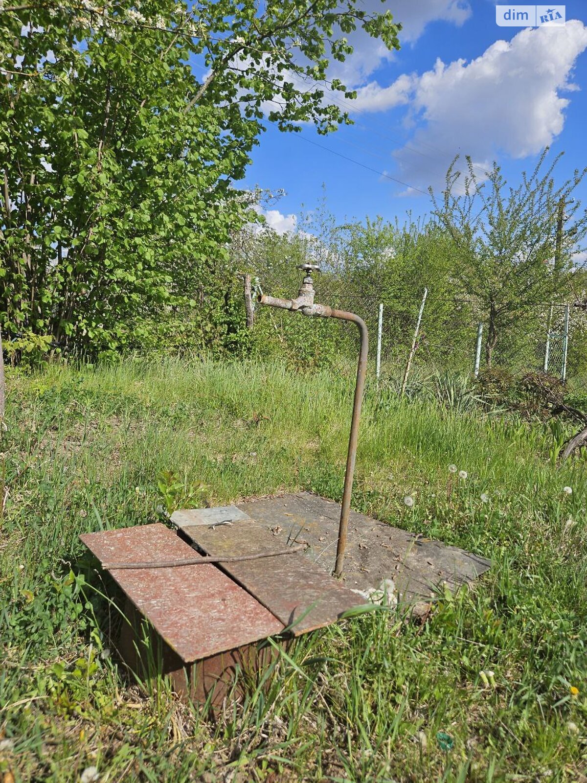 Земельна ділянка сільськогосподарського призначення в Смиківці, площа 6 соток фото 1