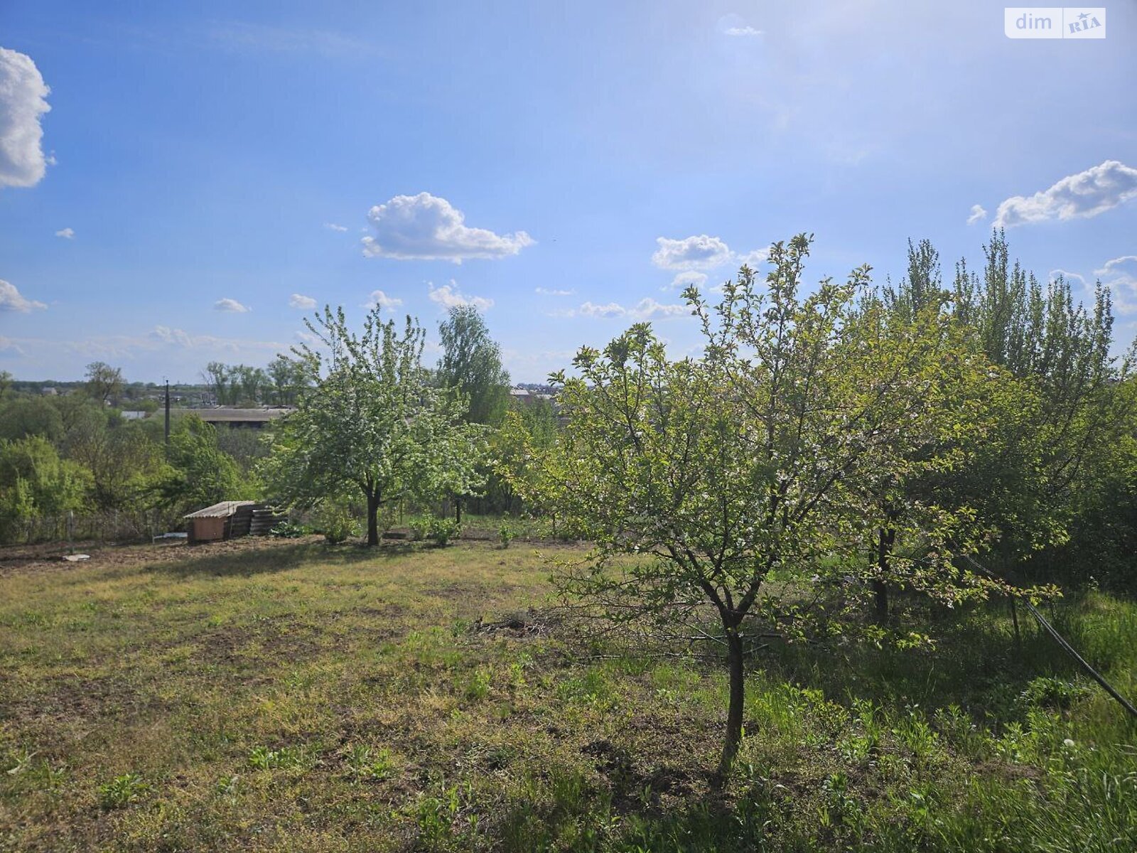 Земельна ділянка сільськогосподарського призначення в Смиківці, площа 6 соток фото 1