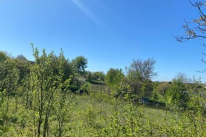 Земельна ділянка сільськогосподарського призначення в Смиківці, площа 8.9 сотки фото 2