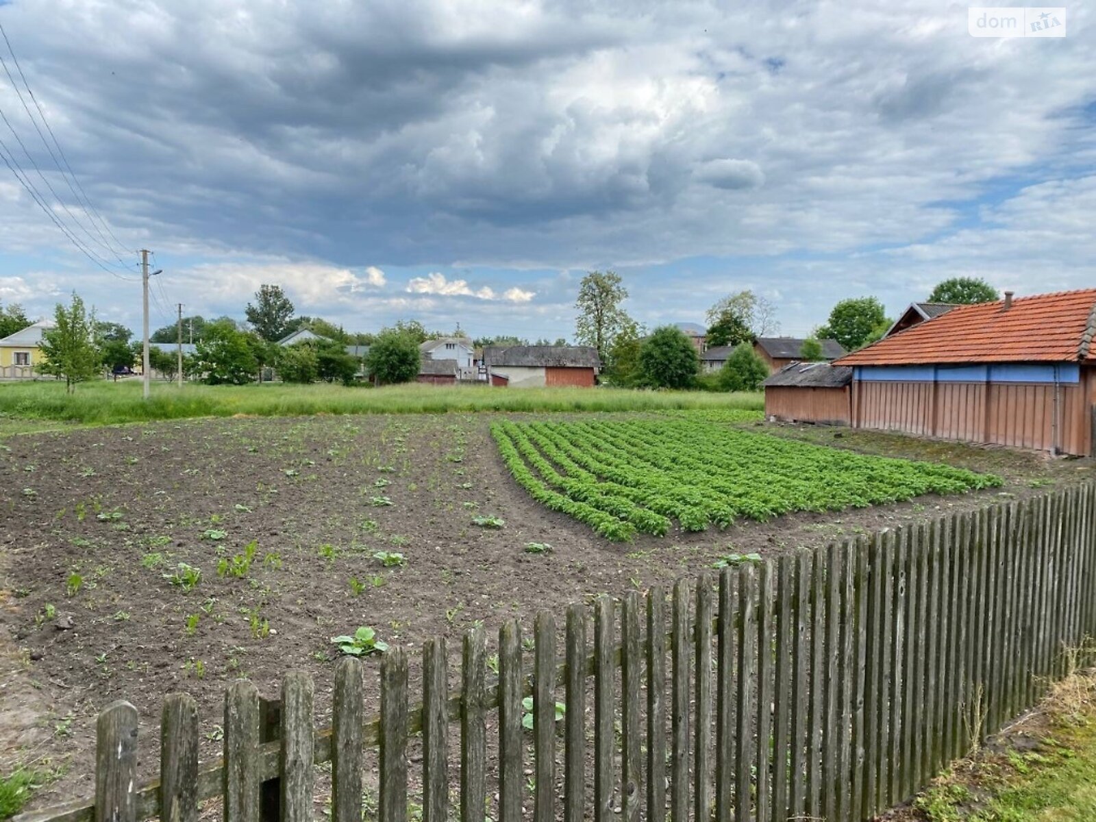 Земельный участок сельскохозяйственного назначения в Любковцах, площадь 40 соток фото 1