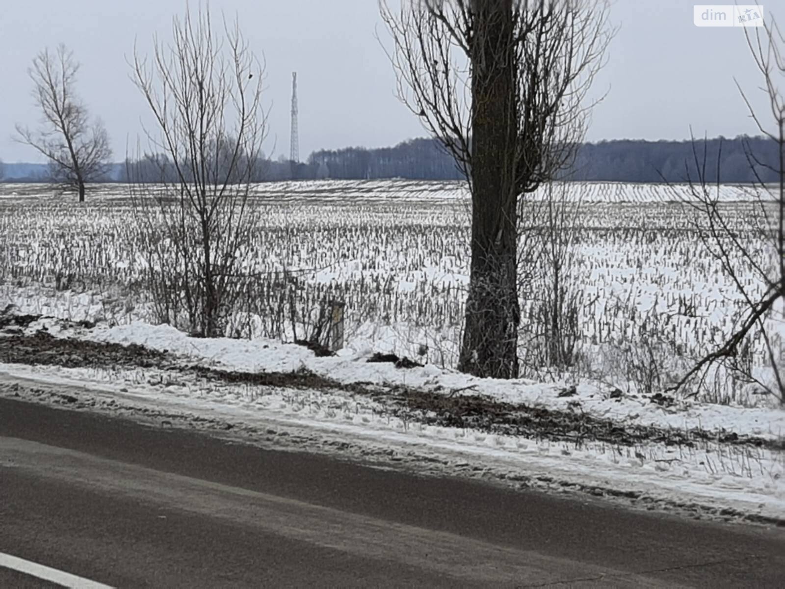 Земельна ділянка сільськогосподарського призначення в Соболівці, площа 94 сотки фото 1