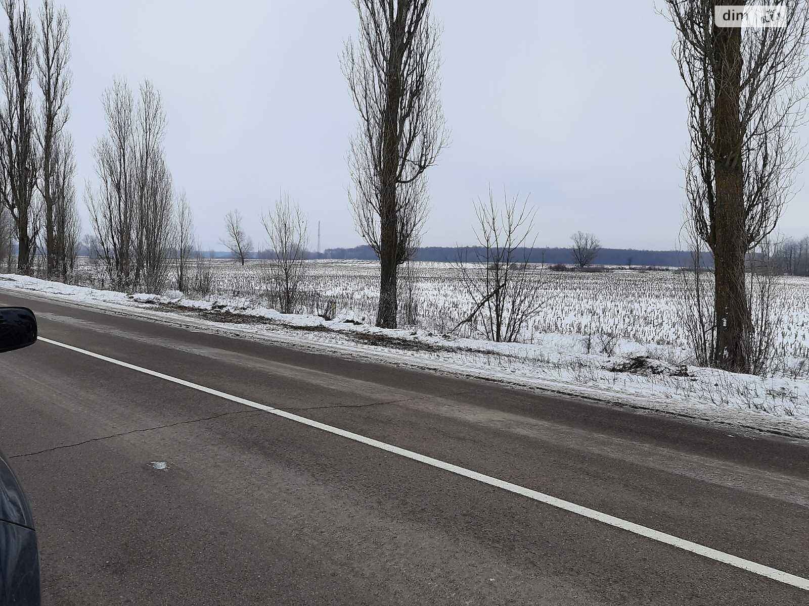 Земельна ділянка сільськогосподарського призначення в Соболівці, площа 94 сотки фото 1