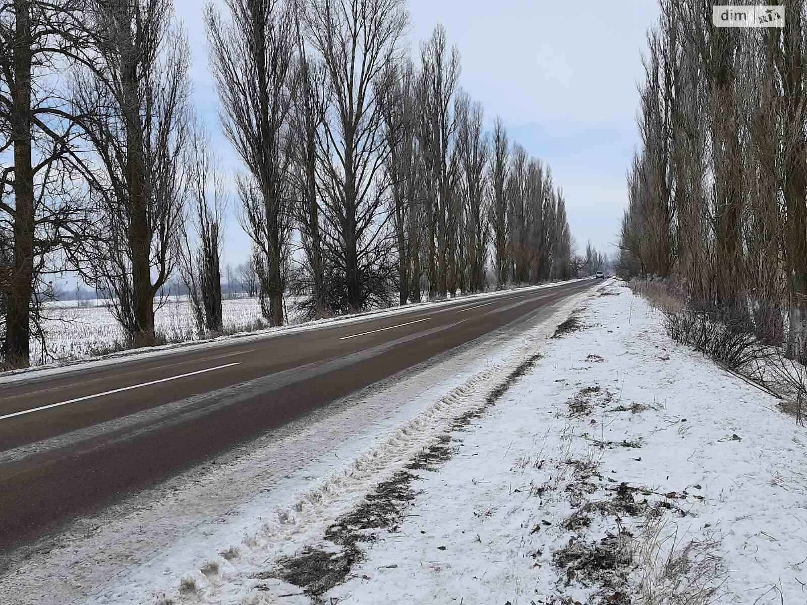 Земельна ділянка сільськогосподарського призначення в Соболівці, площа 94 сотки фото 1