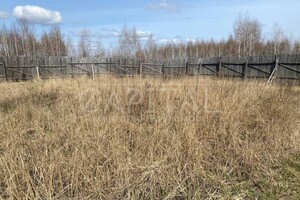Земельный участок сельскохозяйственного назначения в Софиевской Борщаговке, площадь 9 соток фото 2