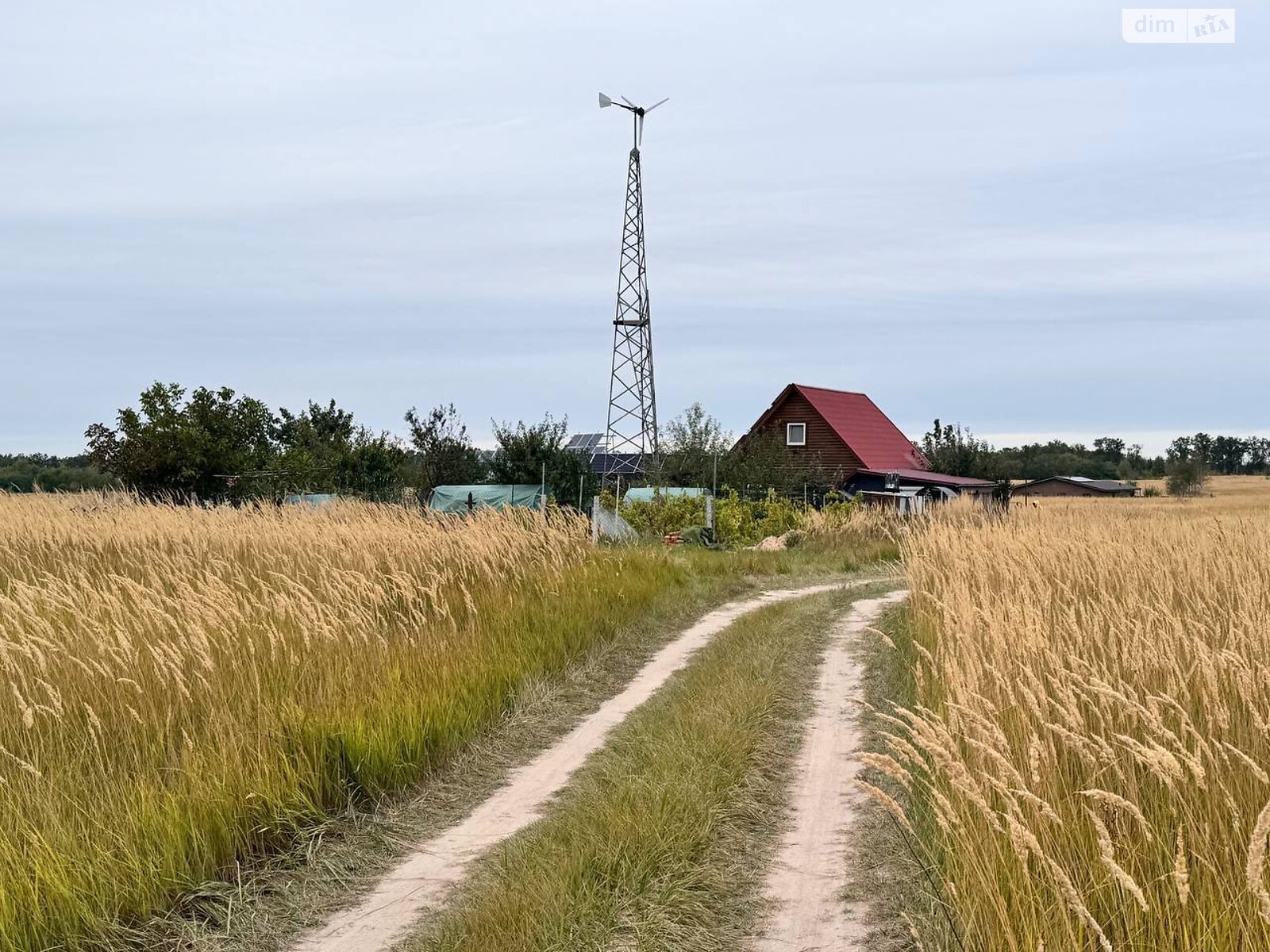 Земельна ділянка сільськогосподарського призначення в Софіївській Борщагівці, площа 9 соток фото 1