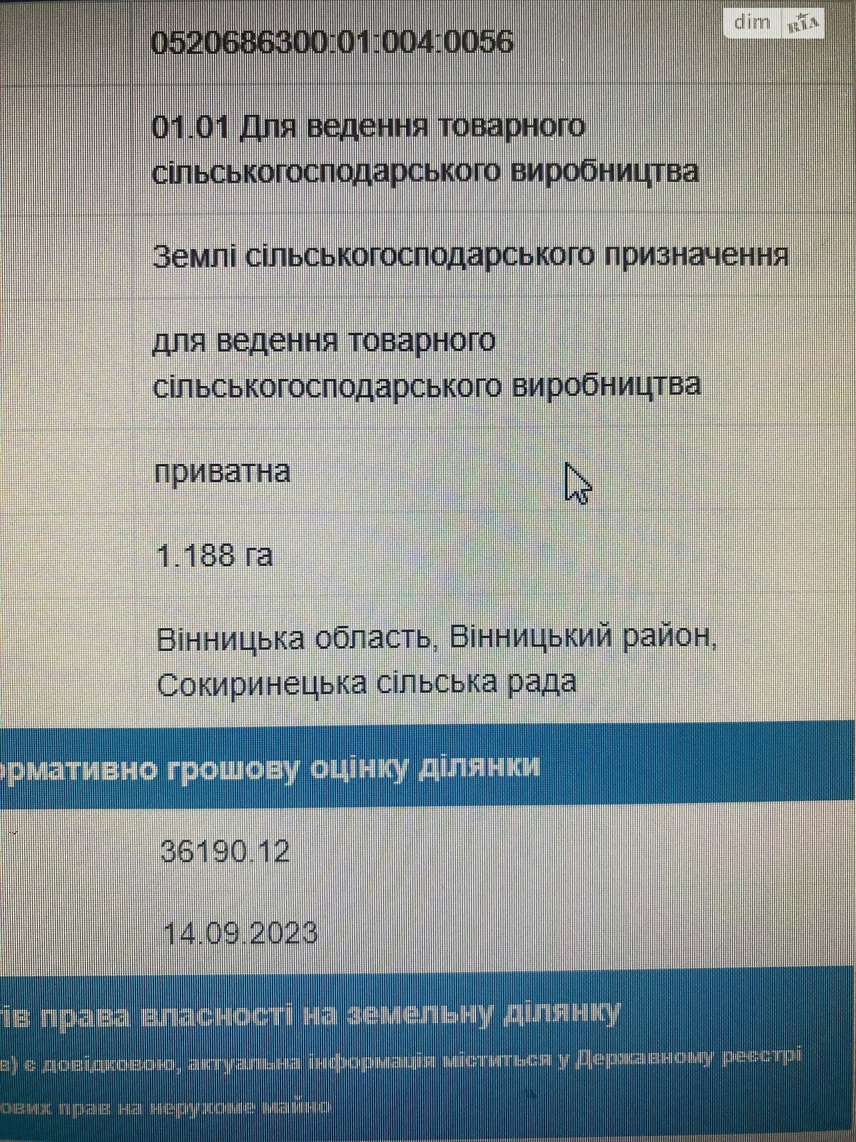 Земельна ділянка сільськогосподарського призначення в Сокиринцях, площа 223 сотки фото 1