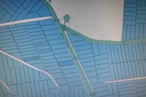 Земельный участок сельскохозяйственного назначения в Сокиринцах, площадь 223 сотки фото 2