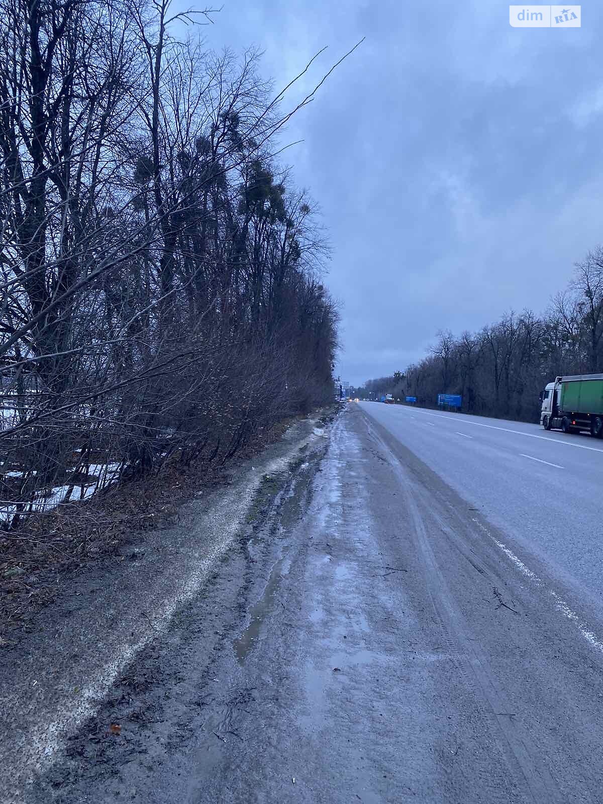 Земельна ділянка сільськогосподарського призначення в Сокиринцях, площа 223 сотки фото 1