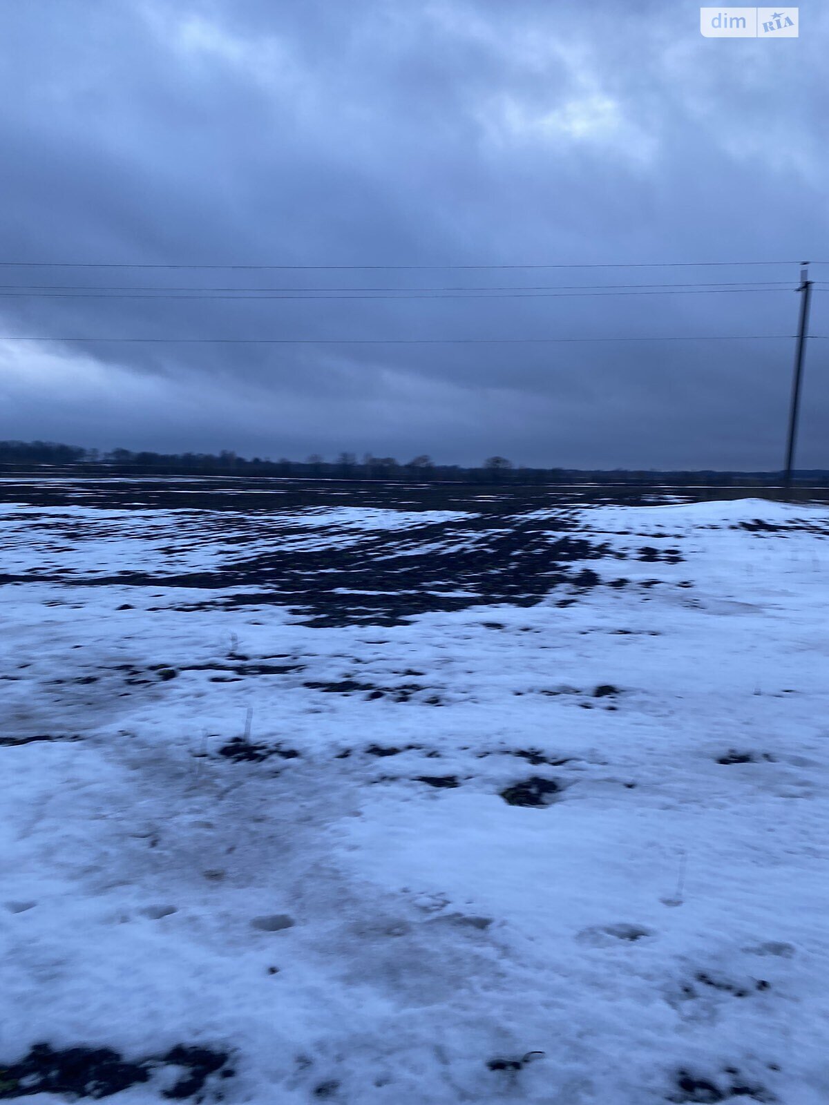 Земельна ділянка сільськогосподарського призначення в Сокиринцях, площа 223 сотки фото 1