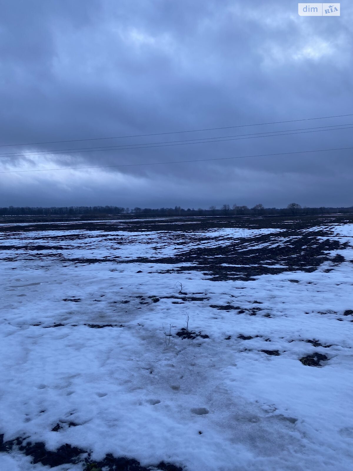 Земельна ділянка сільськогосподарського призначення в Сокиринцях, площа 223 сотки фото 1