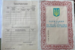 Земельный участок сельскохозяйственного назначения в Сокольниках, площадь 58 соток фото 2