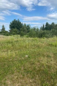 Земельна ділянка сільськогосподарського призначення в Сонячне, площа 12 соток фото 2