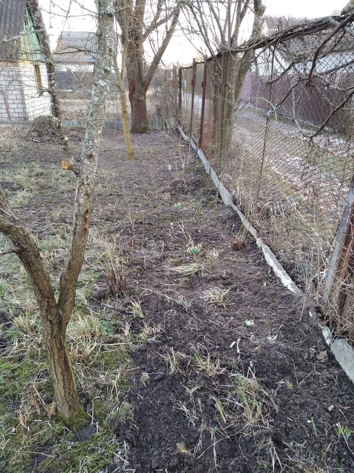Земля сільськогосподарського призначення в Сонячне, площа 0.55 Га фото 1 Земля сільськогосподарського призначення в Сонячне, площа 0.55 Га фото 1