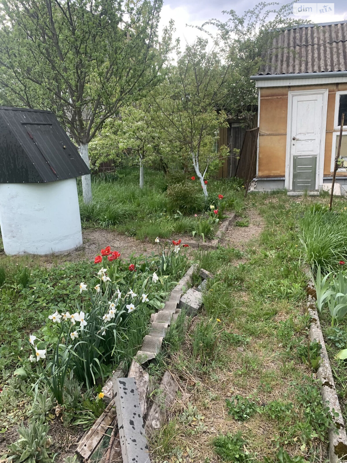 Земля сільськогосподарського призначення в Сонячне, площа 0.55 Га фото 1 Земля сільськогосподарського призначення в Сонячне, площа 0.55 Га фото 1