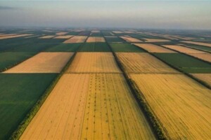 Земельна ділянка сільськогосподарського призначення в Солобківці, площа 152 сотки фото 2