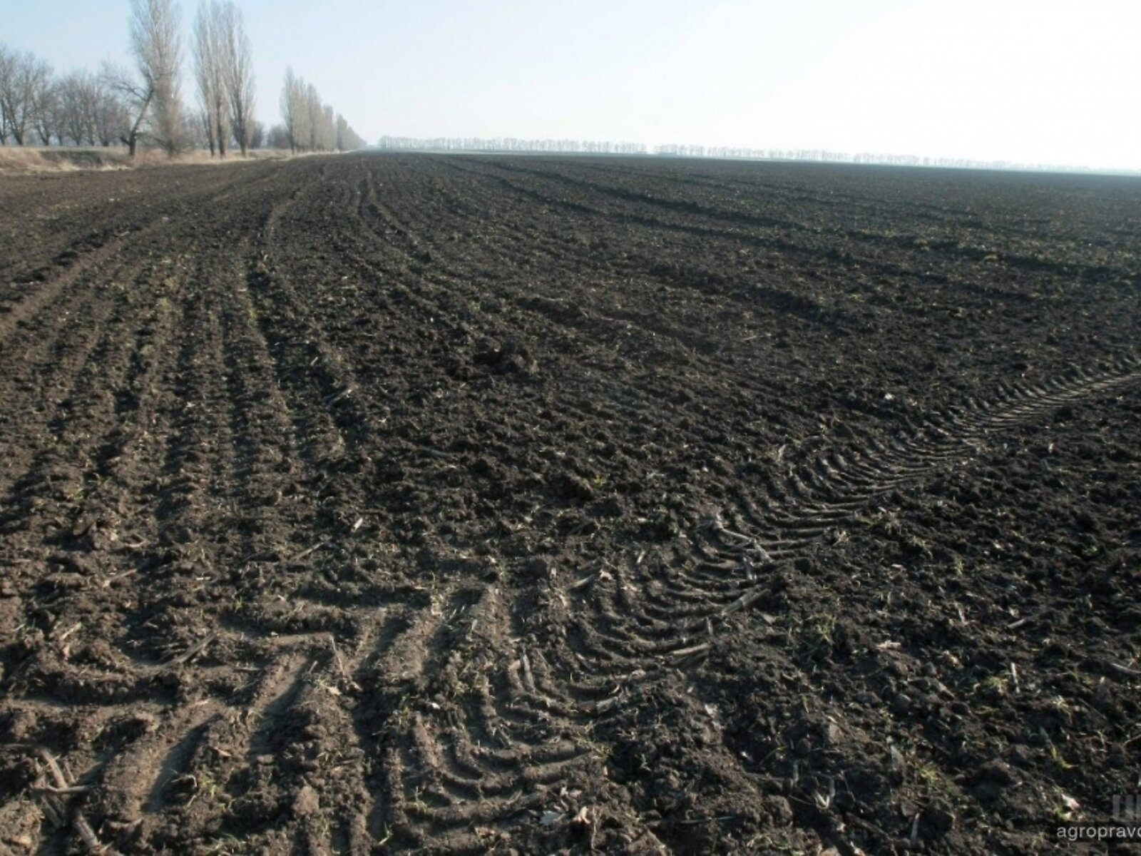 Земельна ділянка сільськогосподарського призначення в Солобківці, площа 152 сотки фото 1