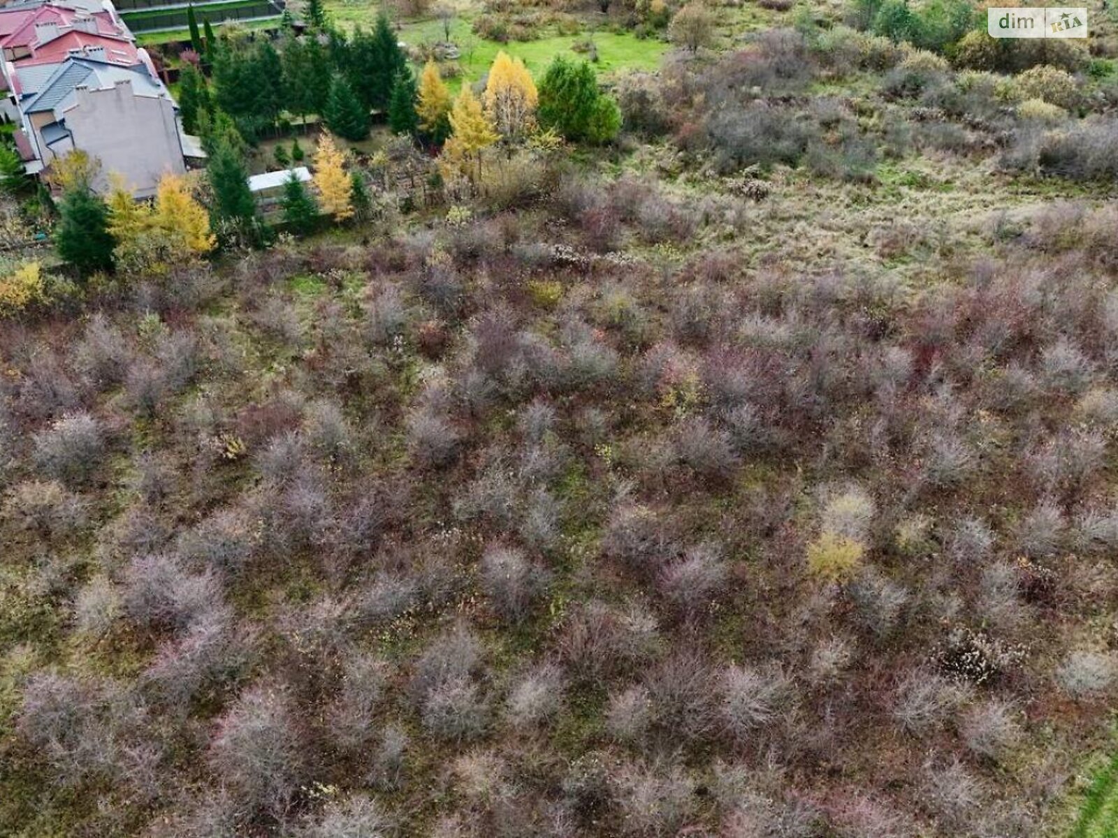 Земельный участок сельскохозяйственного назначения в Солонке, площадь 48.08 сотки фото 1