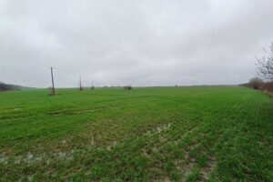 Земельный участок сельскохозяйственного назначения в Солонке, площадь 1660 соток фото 2