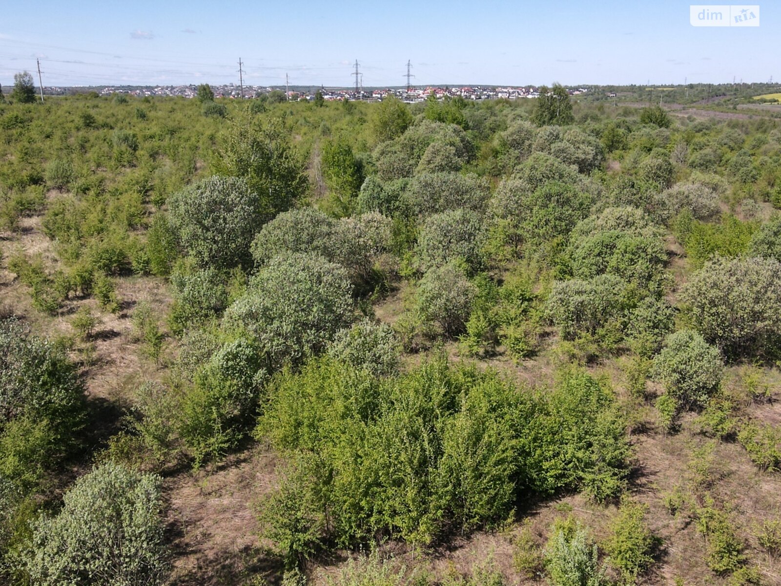 Земельна ділянка сільськогосподарського призначення в Солонці, площа 231 сотка фото 1 Земельна ділянка сільськогосподарського призначення в Солонці, площа 231 сотка фото 1