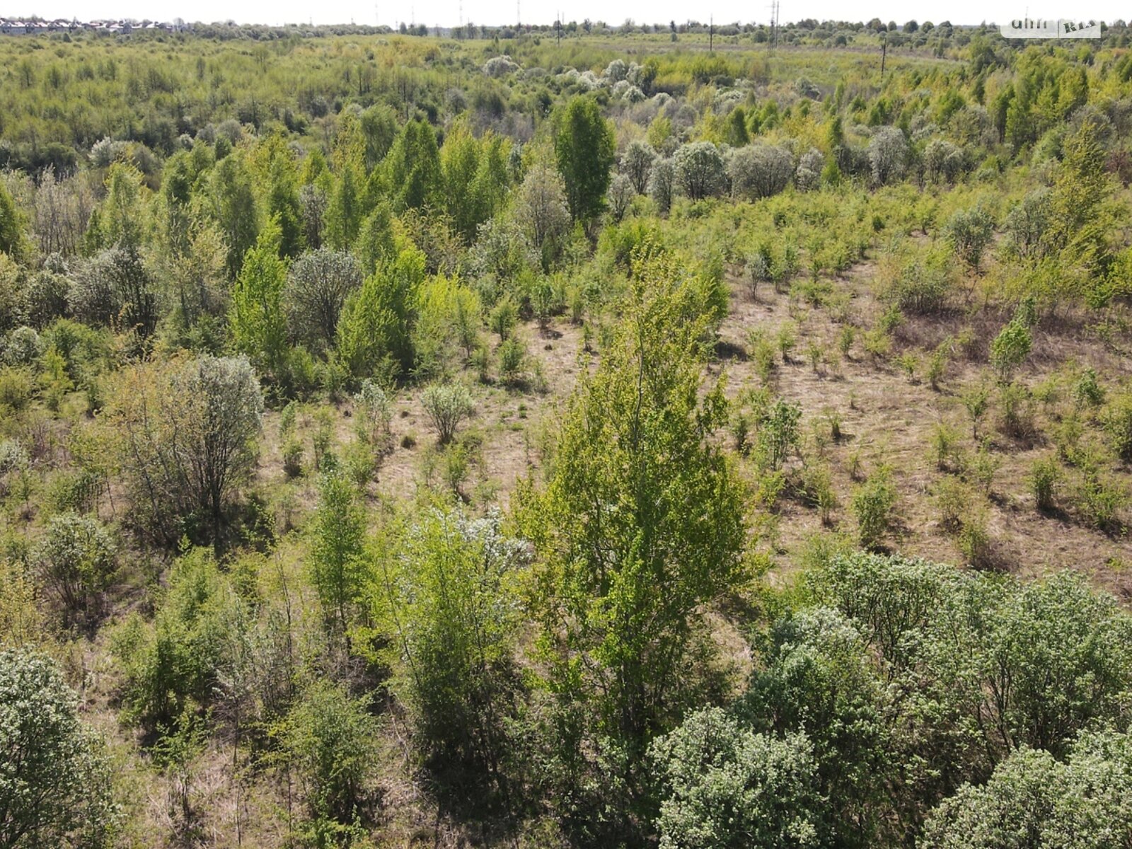 Земельна ділянка сільськогосподарського призначення в Солонці, площа 231 сотка фото 1 Земельна ділянка сільськогосподарського призначення в Солонці, площа 231 сотка фото 1