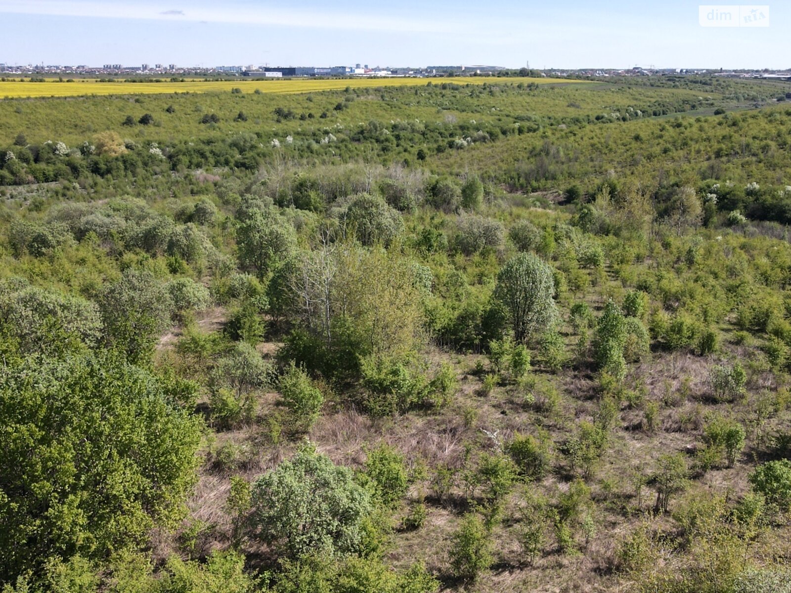 Земельна ділянка сільськогосподарського призначення в Солонці, площа 231 сотка фото 1 Земельна ділянка сільськогосподарського призначення в Солонці, площа 231 сотка фото 1