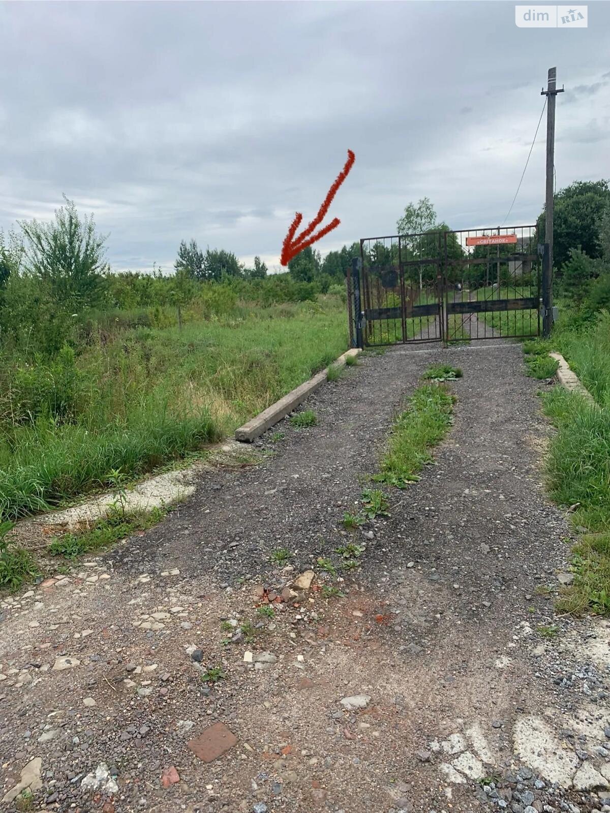 Земельна ділянка сільськогосподарського призначення в Солонці, площа 86 соток фото 1 Земельна ділянка сільськогосподарського призначення в Солонці, площа 86 соток фото 1