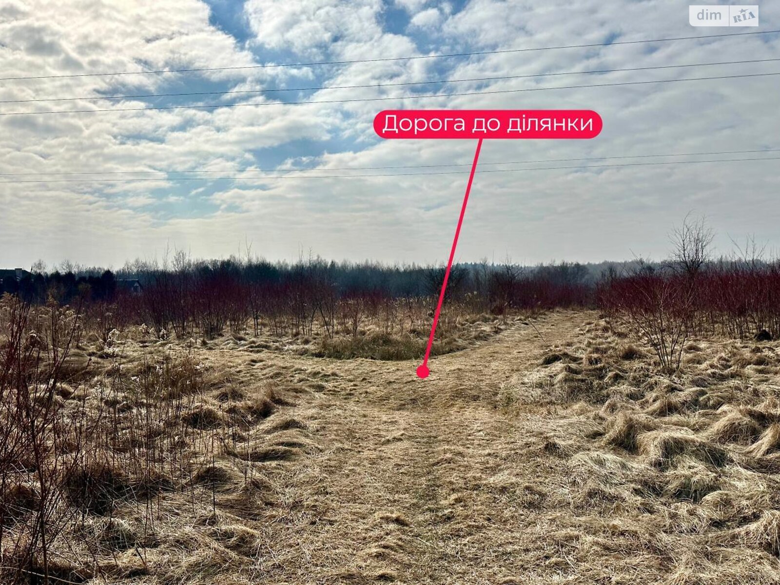 Земельна ділянка сільськогосподарського призначення в Солонці, площа 0.8629 Га фото 1 Земельна ділянка сільськогосподарського призначення в Солонці, площа 0.8629 Га фото 1