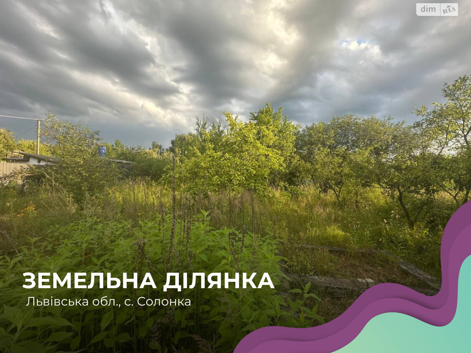 Земельна ділянка сільськогосподарського призначення в Солонці, площа 4.68 сотки фото 1 Земельна ділянка сільськогосподарського призначення в Солонці, площа 4.68 сотки фото 1