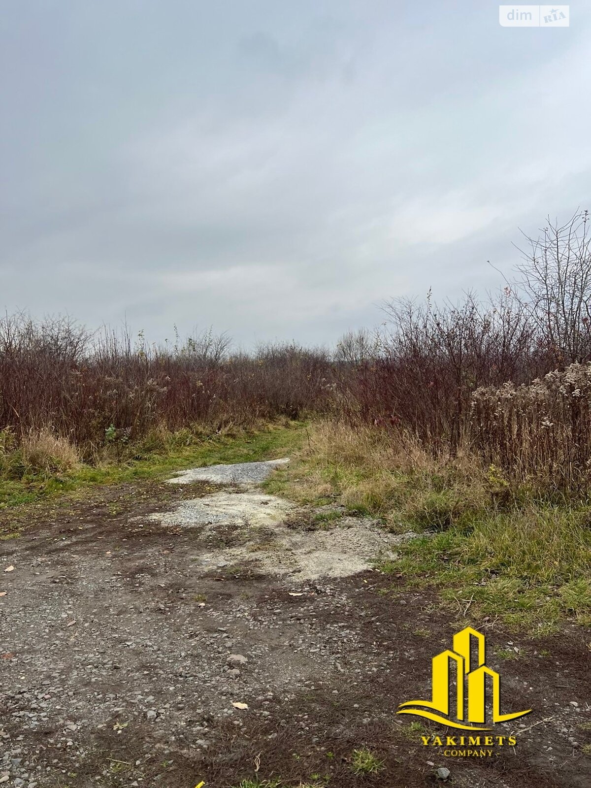 Земельный участок сельскохозяйственного назначения в Солонке, площадь 63.67 сотки фото 1 Земельный участок сельскохозяйственного назначения в Солонке, площадь 63.67 сотки фото 1