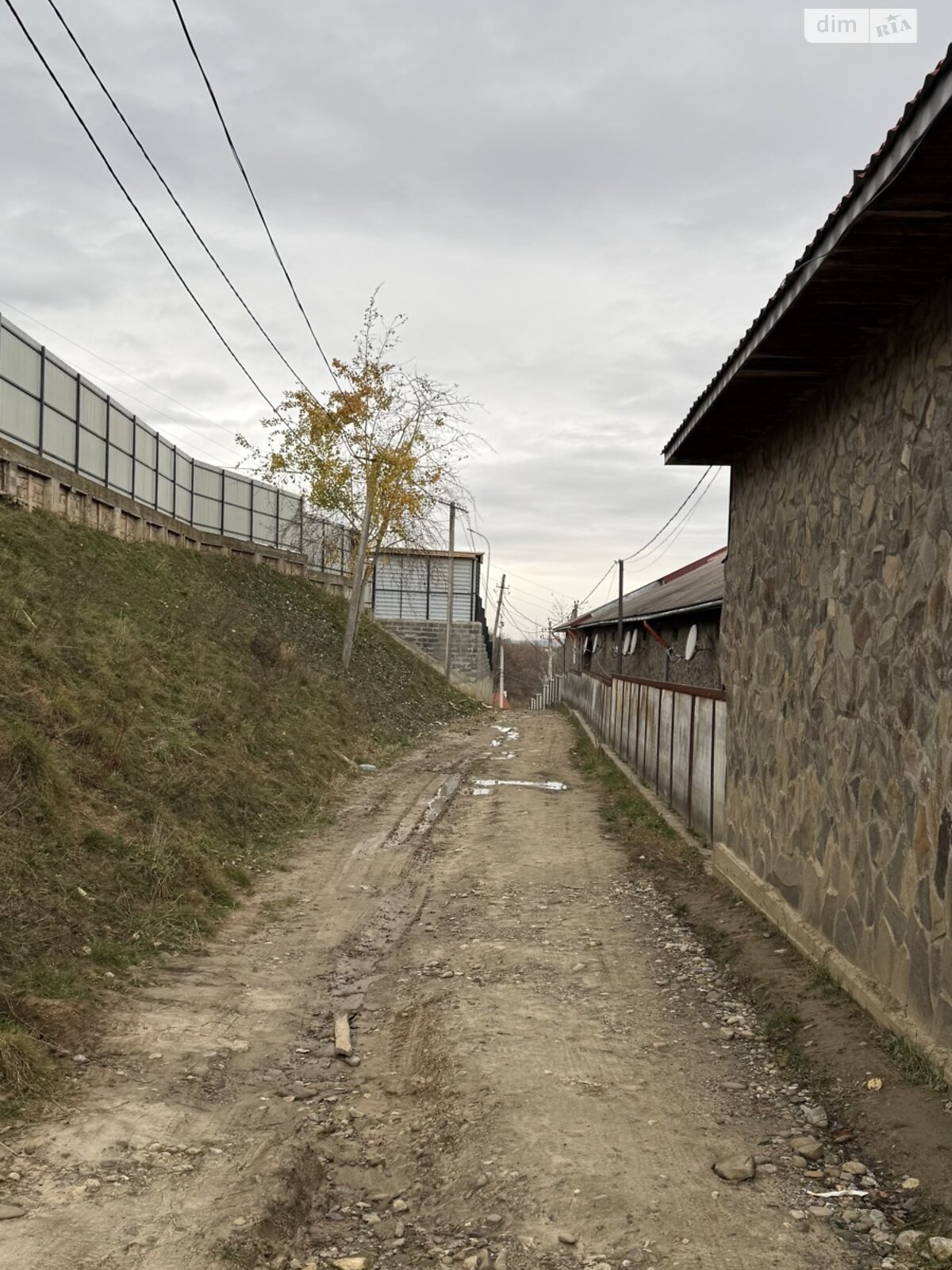 Земельный участок сельскохозяйственного назначения в Солотвине, площадь 12 соток фото 1 Земельный участок сельскохозяйственного назначения в Солотвине, площадь 12 соток фото 1