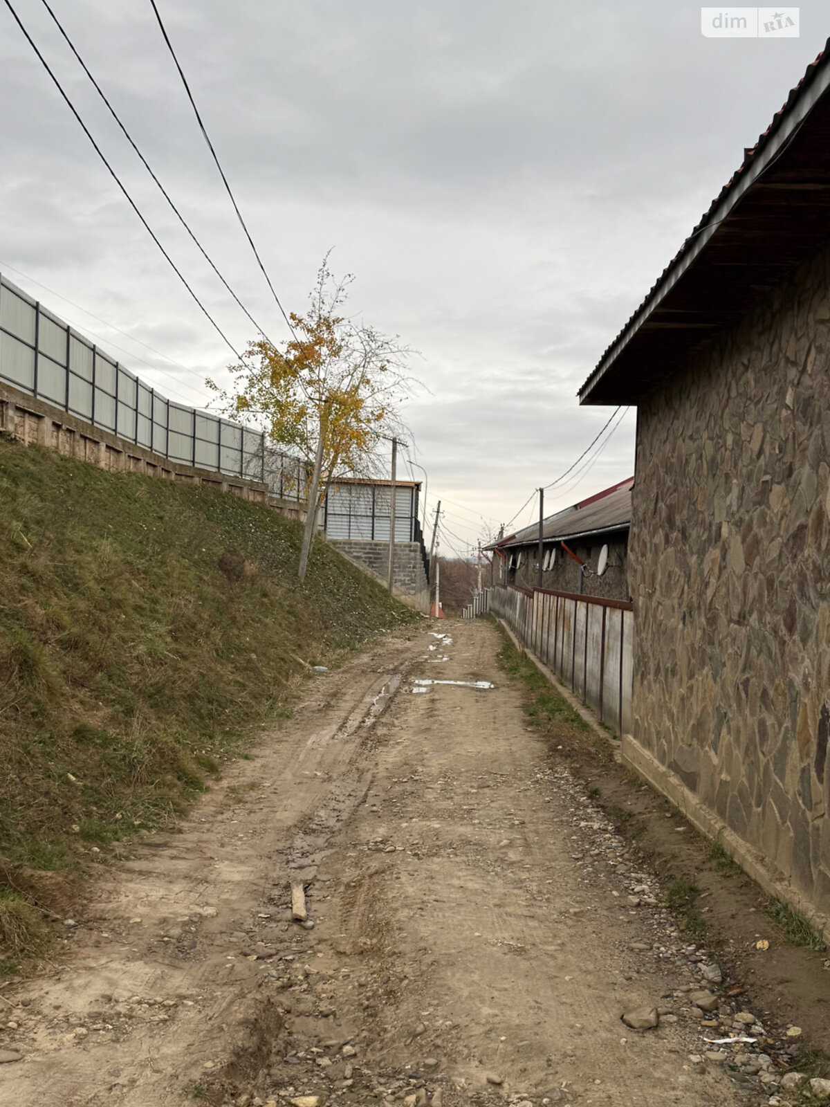 Земельный участок сельскохозяйственного назначения в Солотвине, площадь 12 соток фото 1 Земельный участок сельскохозяйственного назначения в Солотвине, площадь 12 соток фото 1