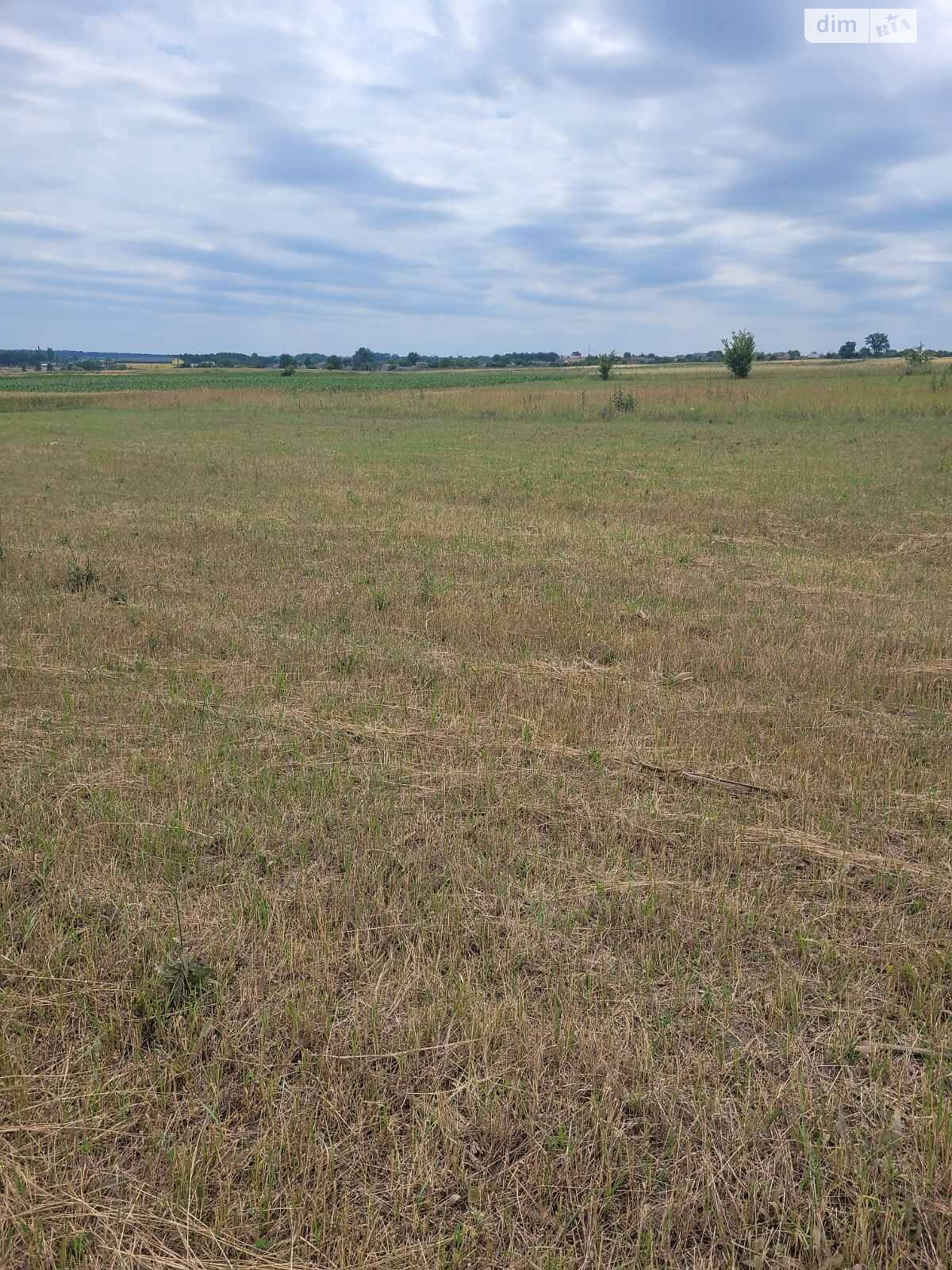 Земельна ділянка сільськогосподарського призначення в Сосонці, площа 20 соток фото 1 Земельна ділянка сільськогосподарського призначення в Сосонці, площа 20 соток фото 1