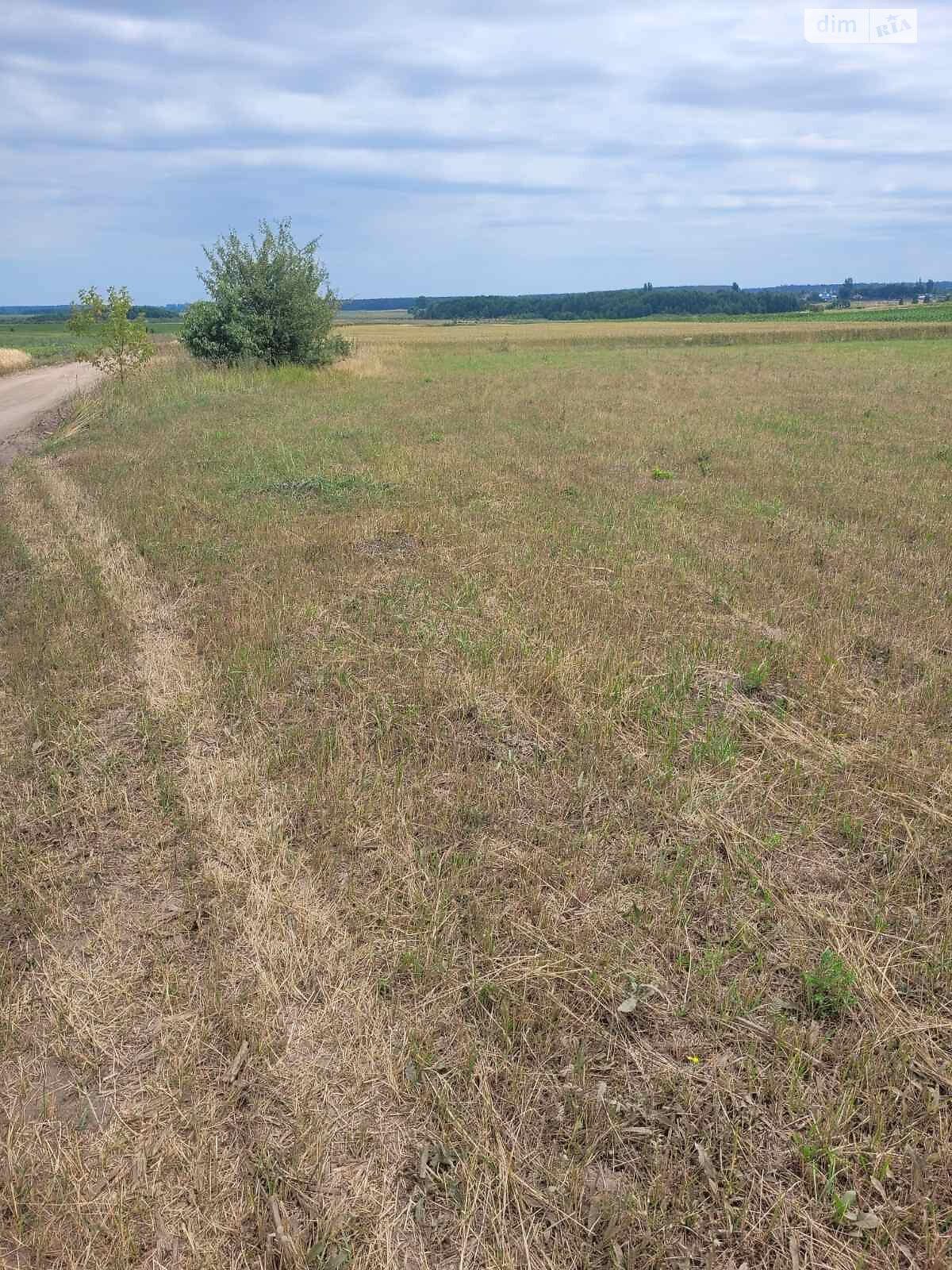 Земельна ділянка сільськогосподарського призначення в Сосонці, площа 20 соток фото 1 Земельна ділянка сільськогосподарського призначення в Сосонці, площа 20 соток фото 1