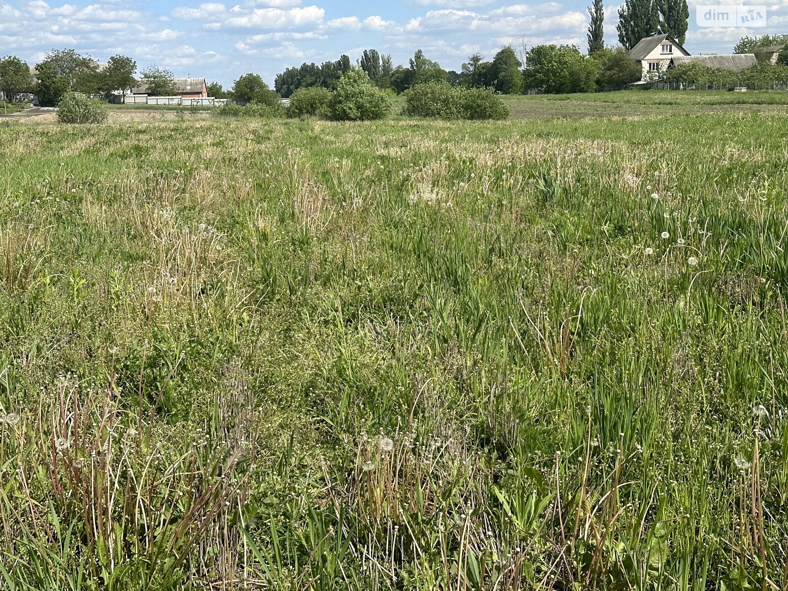 Земельна ділянка сільськогосподарського призначення в Сосонці, площа 13 соток фото 1 Земельна ділянка сільськогосподарського призначення в Сосонці, площа 13 соток фото 1