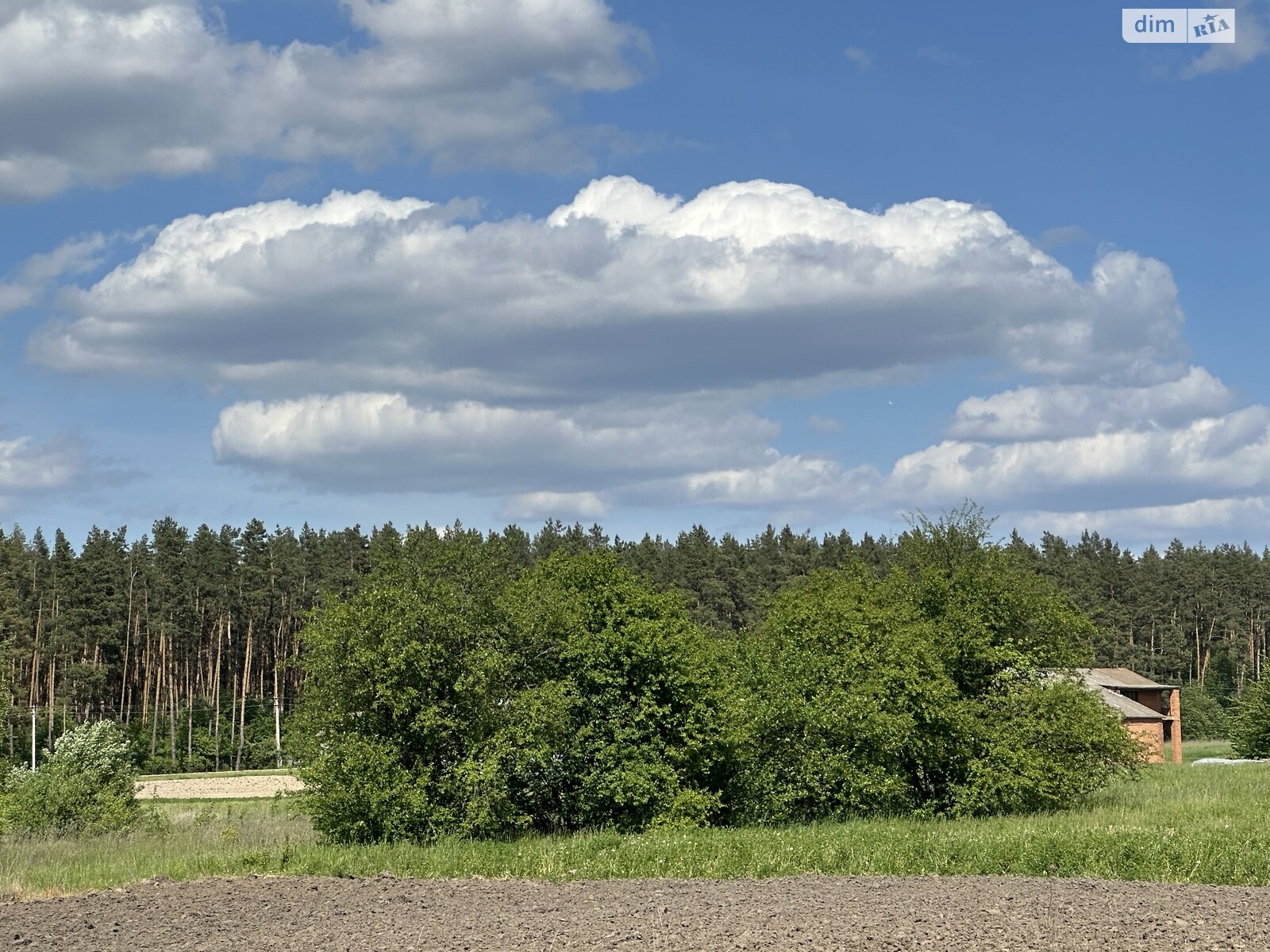 Земельна ділянка сільськогосподарського призначення в Сосонці, площа 13 соток фото 1 Земельна ділянка сільськогосподарського призначення в Сосонці, площа 13 соток фото 1