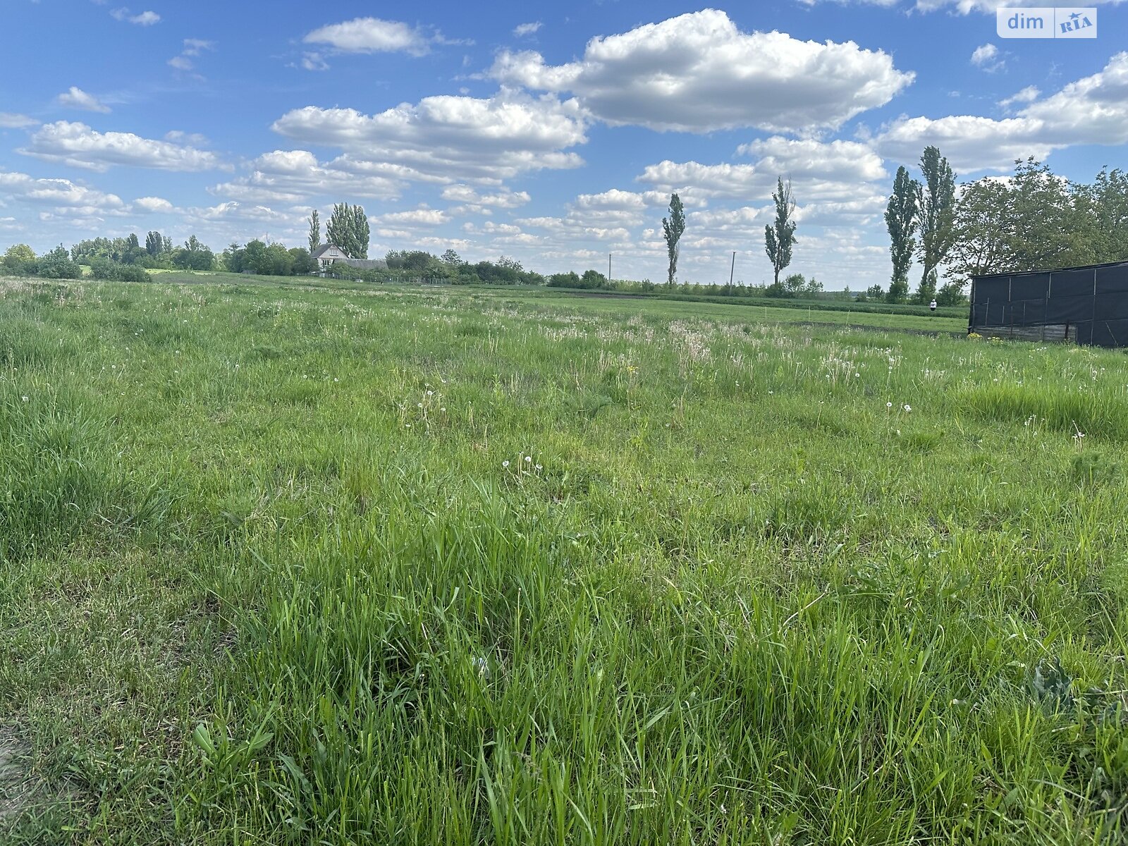 Земельна ділянка сільськогосподарського призначення в Сосонці, площа 13 соток фото 1 Земельна ділянка сільськогосподарського призначення в Сосонці, площа 13 соток фото 1