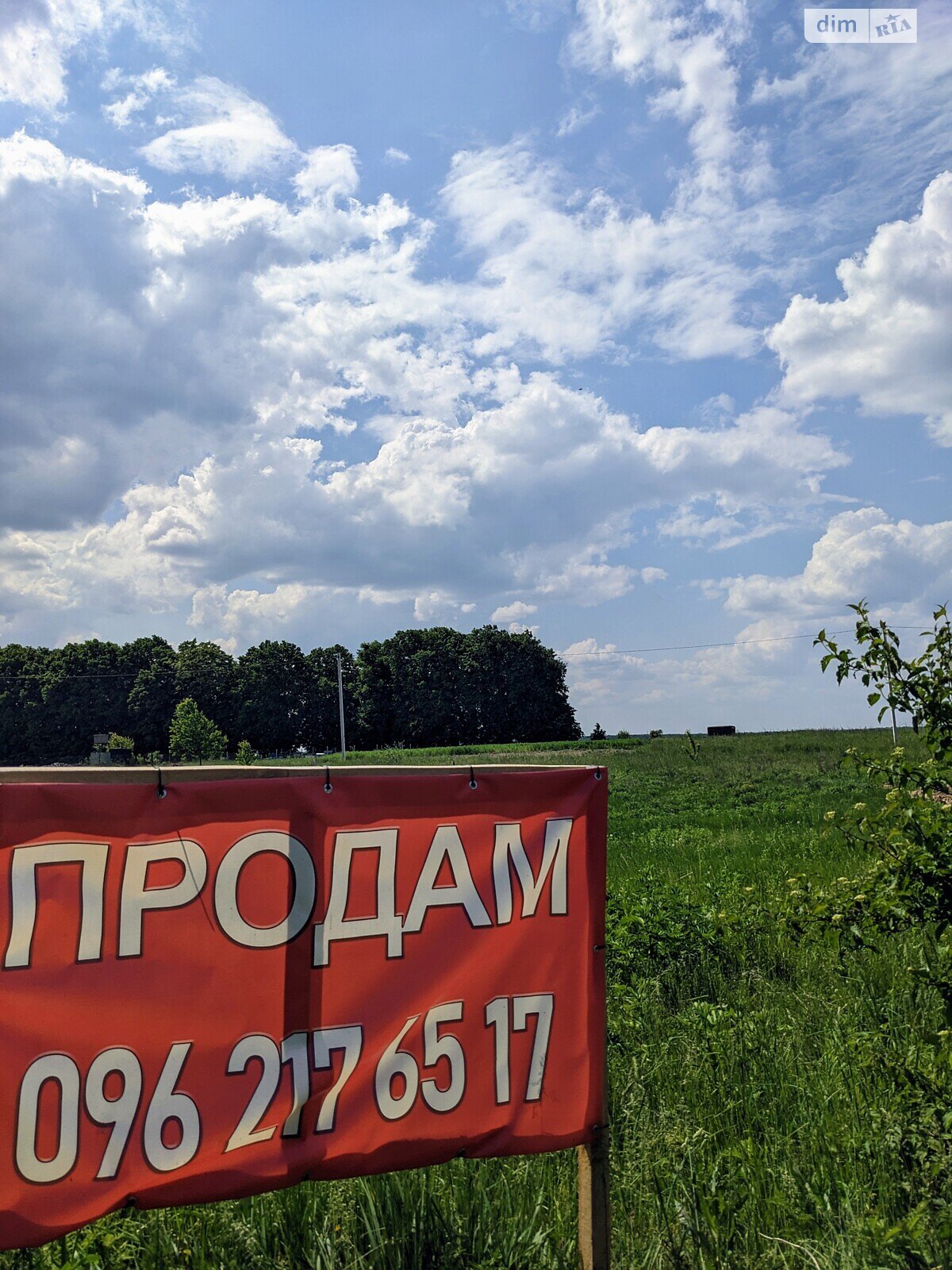 Земельный участок сельскохозяйственного назначения в Сосонке, площадь 10 соток фото 1 Земельный участок сельскохозяйственного назначения в Сосонке, площадь 10 соток фото 1