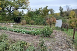 Земельный участок сельскохозяйственного назначения в Спаском, площадь 32 сотки фото 2 Земельный участок сельскохозяйственного назначения в Спаском, площадь 32 сотки фото 2