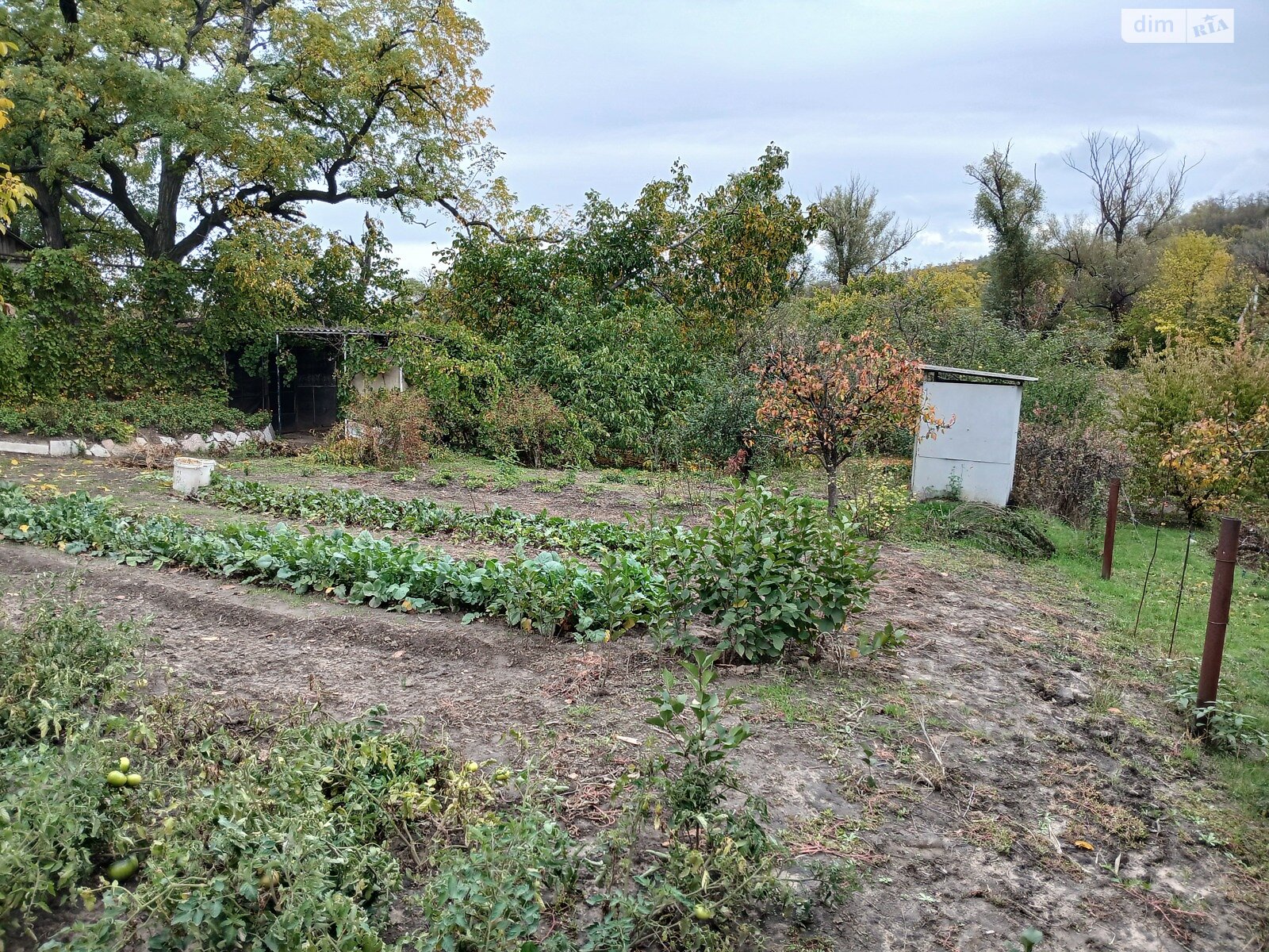 Земельный участок сельскохозяйственного назначения в Спаском, площадь 32 сотки фото 1 Земельный участок сельскохозяйственного назначения в Спаском, площадь 32 сотки фото 1
