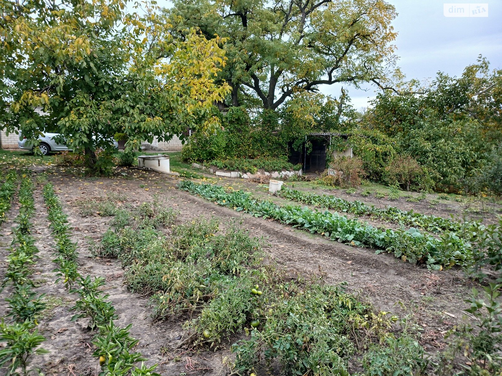 Земельный участок сельскохозяйственного назначения в Спаском, площадь 32 сотки фото 1 Земельный участок сельскохозяйственного назначения в Спаском, площадь 32 сотки фото 1