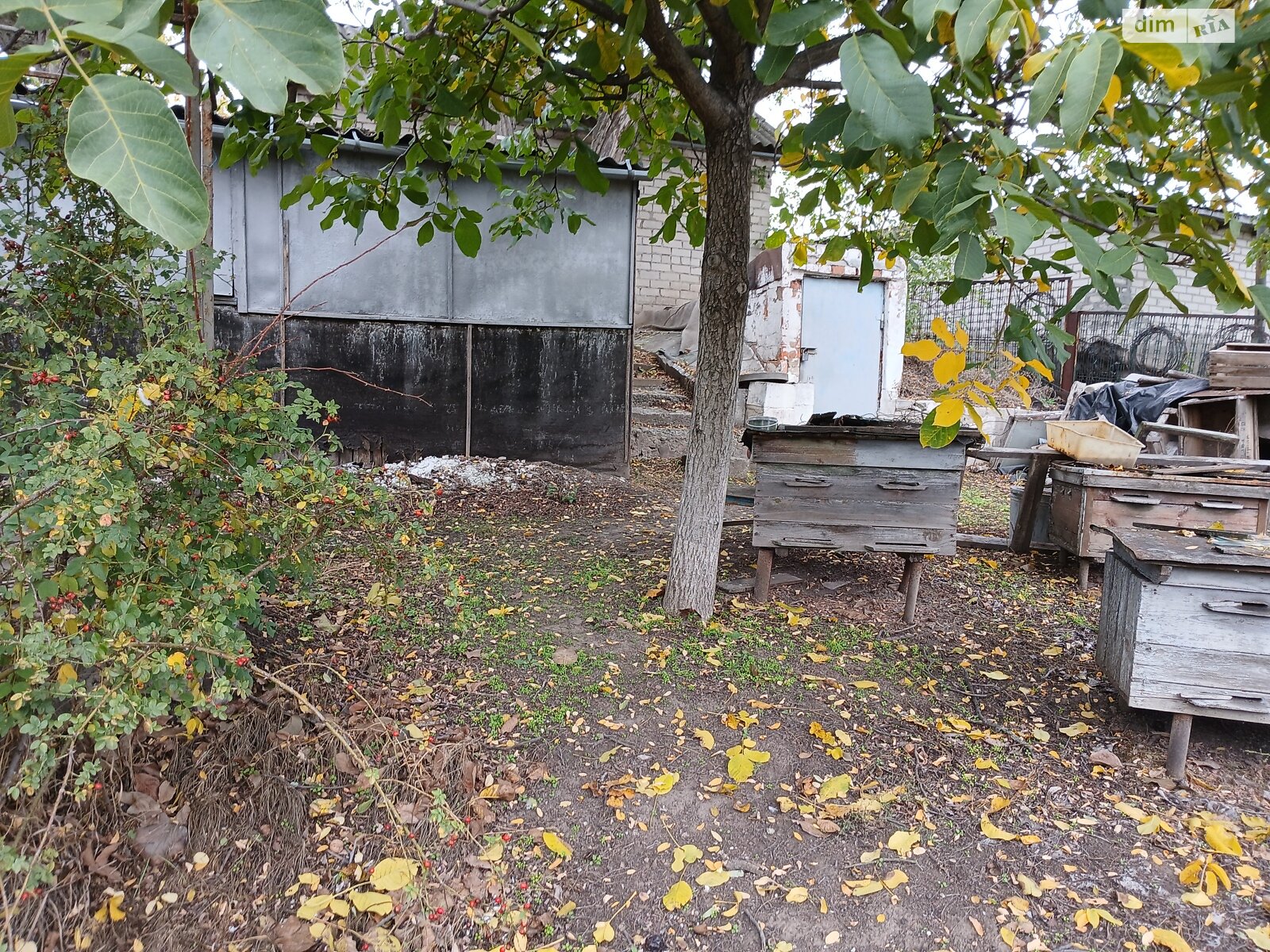 Земельный участок сельскохозяйственного назначения в Спаском, площадь 32 сотки фото 1 Земельный участок сельскохозяйственного назначения в Спаском, площадь 32 сотки фото 1