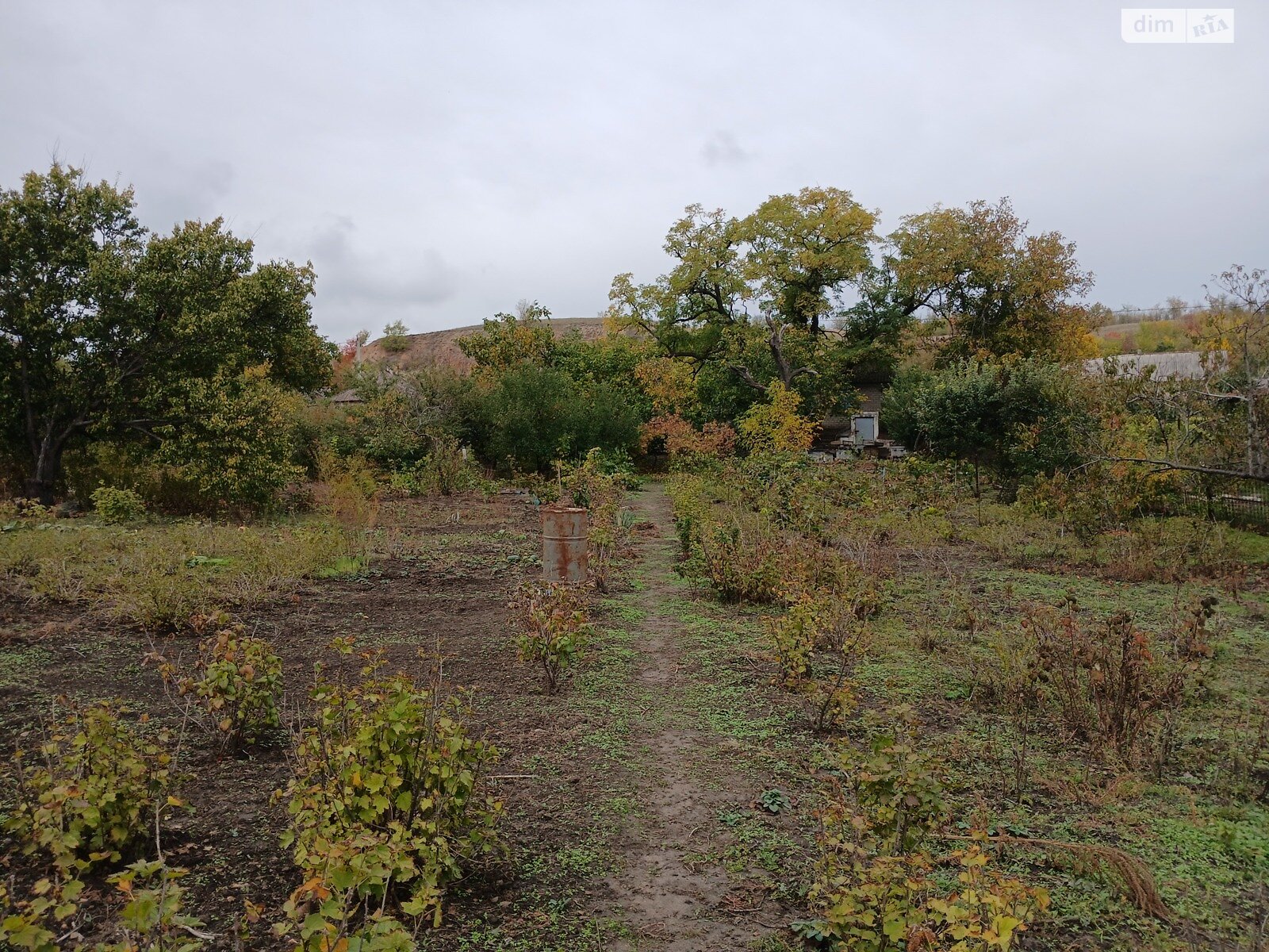 Земельный участок сельскохозяйственного назначения в Спаском, площадь 32 сотки фото 1 Земельный участок сельскохозяйственного назначения в Спаском, площадь 32 сотки фото 1