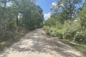 Земельна ділянка сільськогосподарського призначення в Стадниці, площа 1 Га фото 2