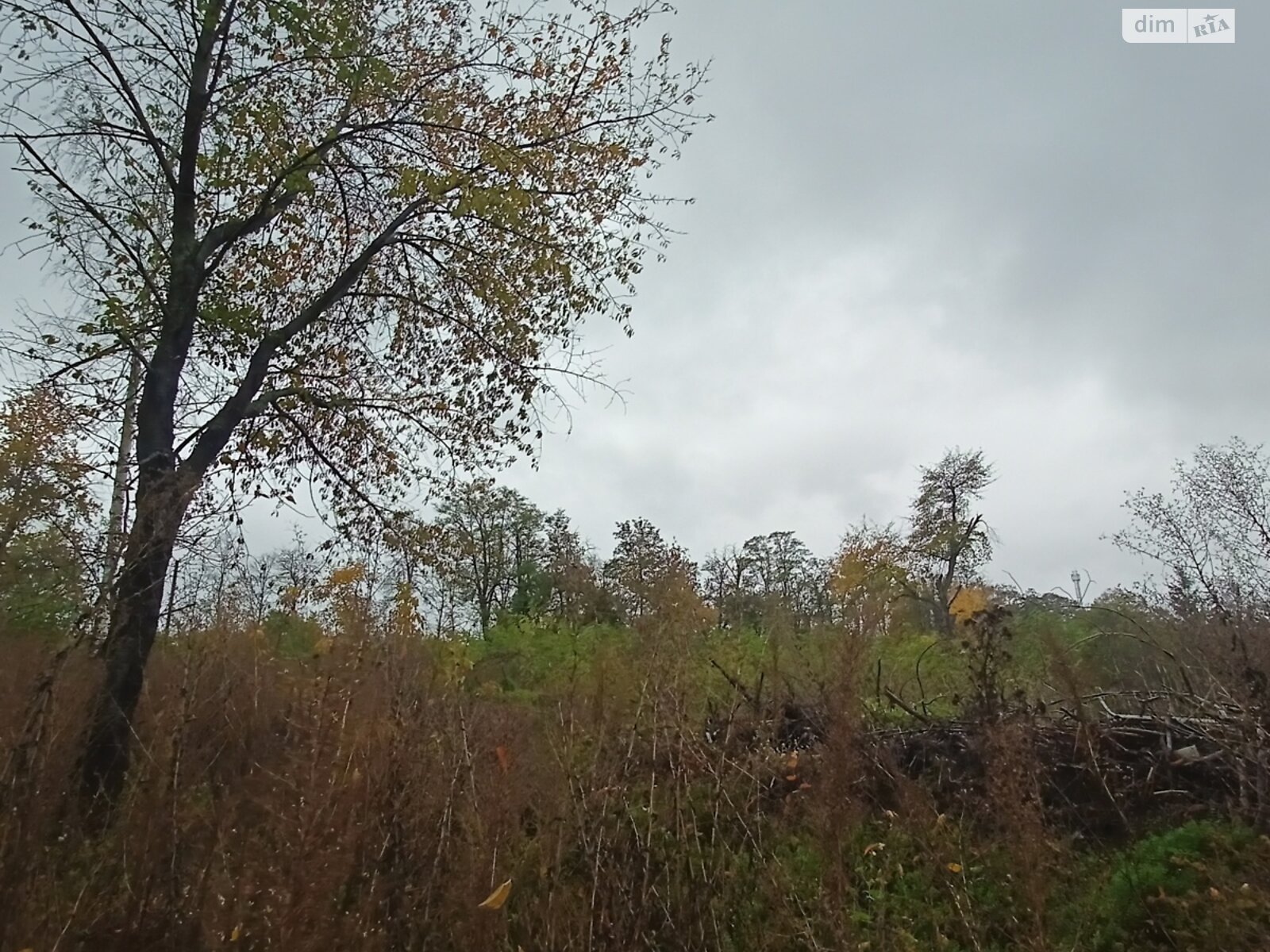 Земельный участок сельскохозяйственного назначения в Стаднице, площадь 1 Га фото 1